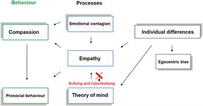 Cyberbullying and Empathy in the Age of Hyperconnection: An Interdisciplinary Approach